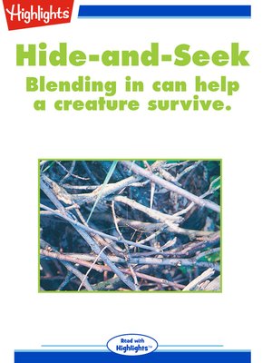 cover image of Hide-and-Seek